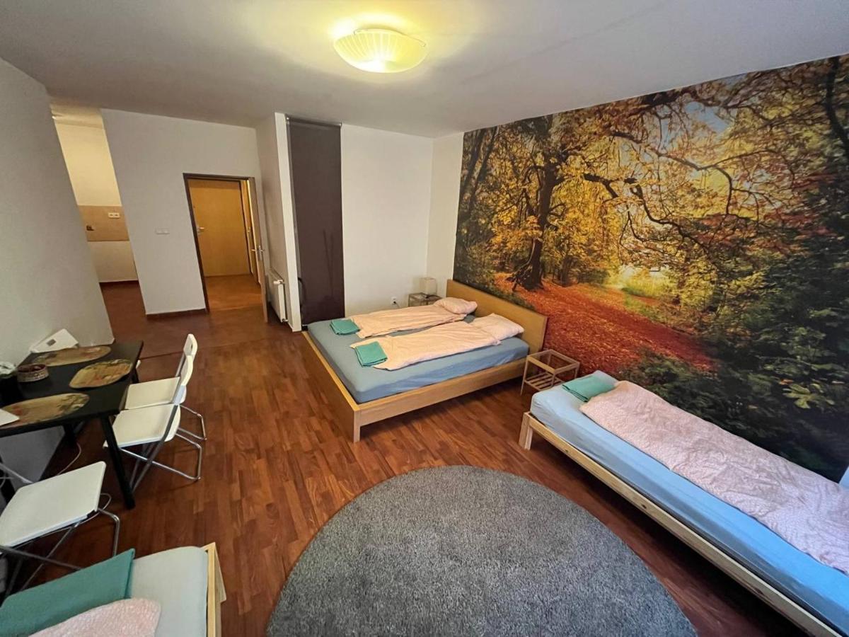ברנו Apartments Spolkova מראה חיצוני תמונה