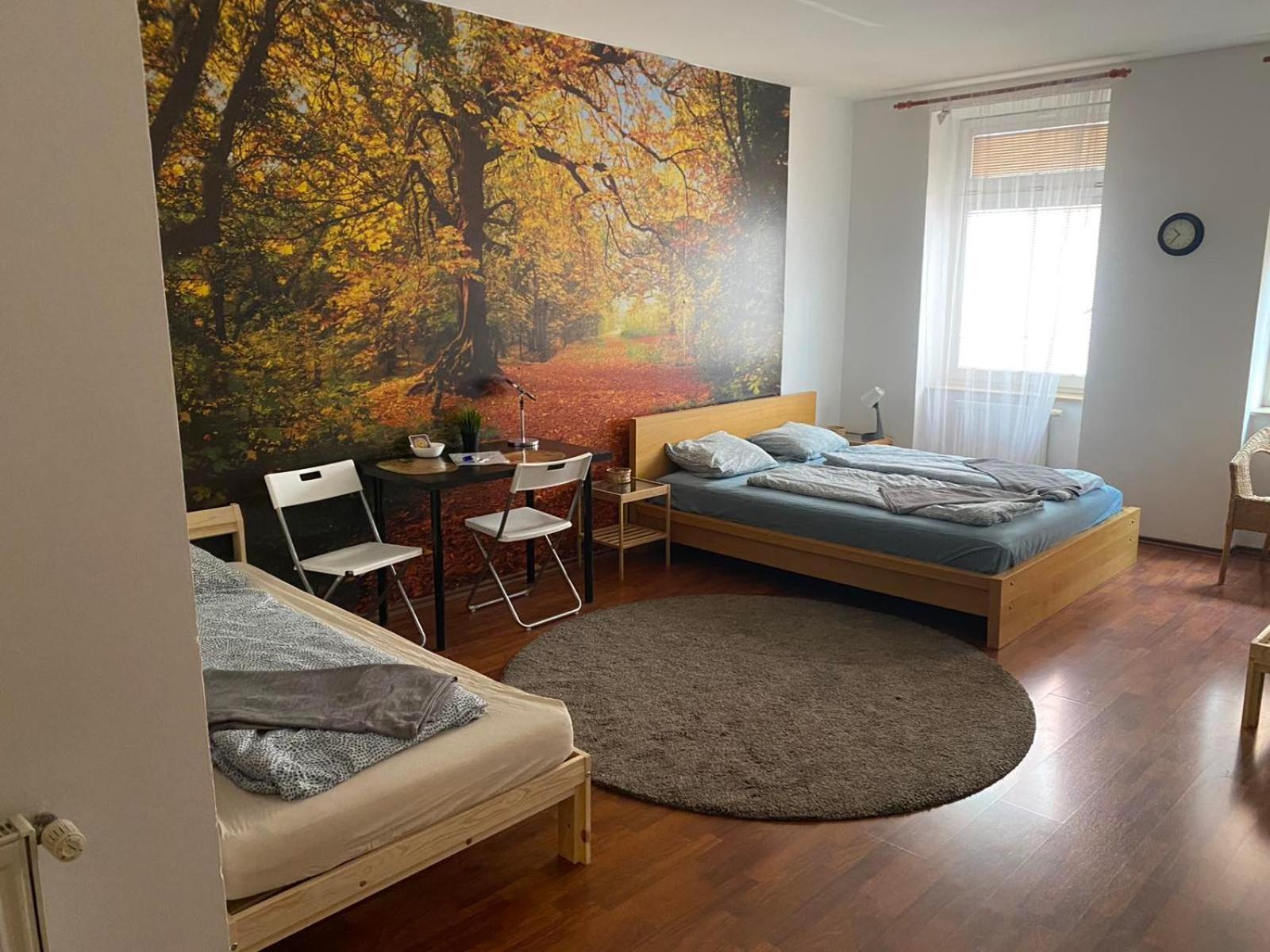 ברנו Apartments Spolkova מראה חיצוני תמונה